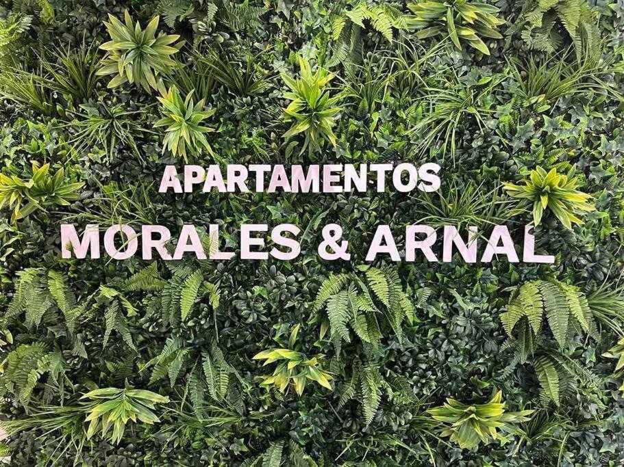 XX D Apartamentos Morales & Arnal Ρόντα Εξωτερικό φωτογραφία